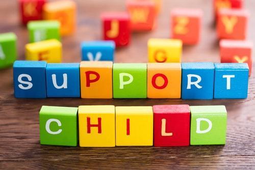 Illinois child support law